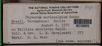 Image Associated With the Occurence